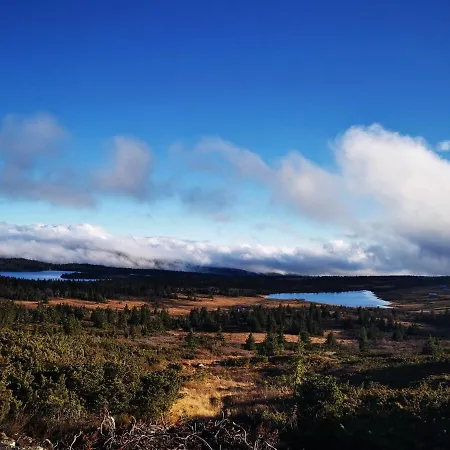 Apartment Cozy Close To Many Experiences *