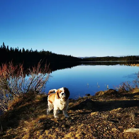 Apartment Cozy Close To Many Experiences *